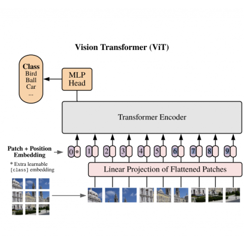 vision transformer